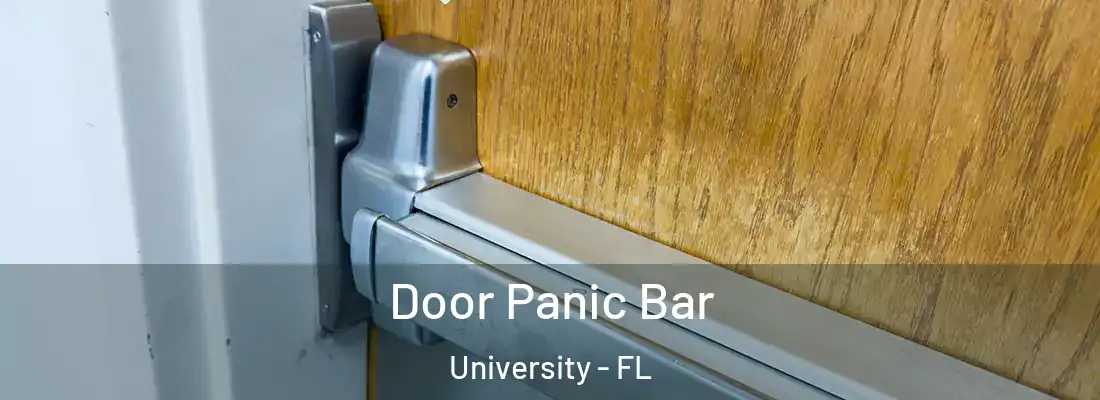 Door Panic Bar University - FL