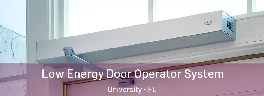Low Energy Door Operator System University - FL